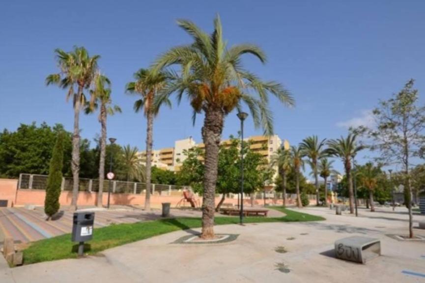 Apartamento Los Gases Torrevieja Extérieur photo
